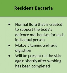 Resident bacteria